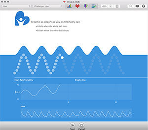 1-Minute HRV Deep Breathing Assessment