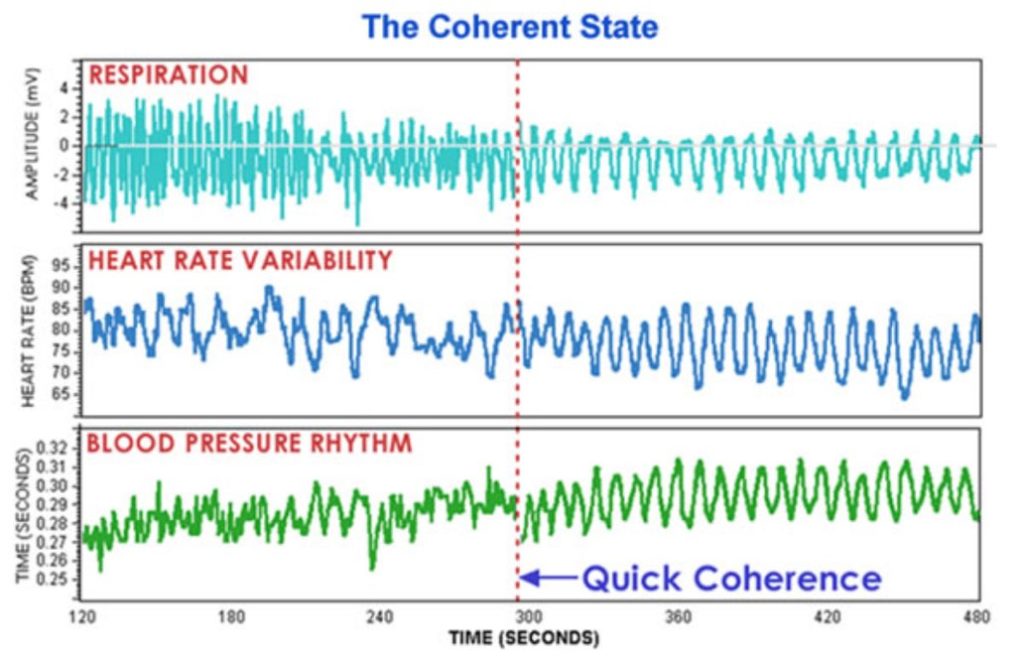 Measuring and practising coherence 